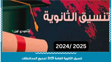 تنسيق الثانوية العامة 2025 في محافظة الدقهلية
